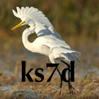 K3/KX3 Programmer's Reference Zeichen