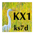 KX1 Micro Manual icône