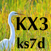 KX3 Micro Manual APK