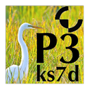 P3 Micro Manual APK