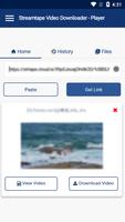 Poster Streamtape Player & Downloader