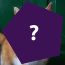 ImagesVsImagination: PhotoQuiz APK