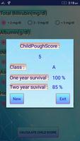Child-Pugh Score capture d'écran 1