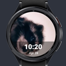 Racoon WatchFace APK