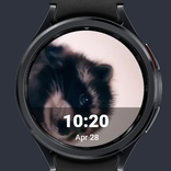 Racoon WatchFace
