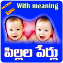 Telugu Baby Names(50k+)-తెలుగు బేబీ పేర్లు APK
