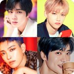 Kpop Quiz: Guess the Idol icon