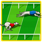 Dog Race Game icône