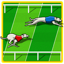 APK Dog Race Game