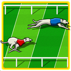 Dog Race Game icon