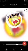 Fenix FM 스크린샷 1