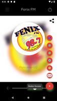 Fenix FM 스크린샷 2