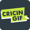 ”Cricingif - PSL 6 Live Cricket Score & News