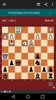 Fun Chess Puzzles Pro Poster