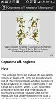 NZ Coprosma Key スクリーンショット 3