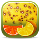 Citrus Diseases Key APK