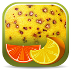 Citrus Diseases ไอคอน