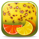 Citrus Diseases أيقونة