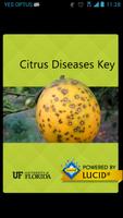 Citrus Diseases Poster