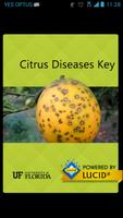 Citrus Diseases 海報