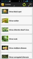 Citrus Diseases تصوير الشاشة 2