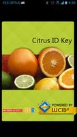 Citrus ID Affiche