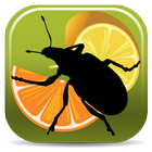 Citrus Pests أيقونة