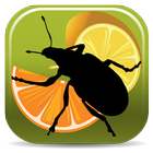 Icona Citrus Pests