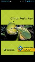 Poster Citrus Pests