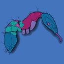 Antkey Mobile APK