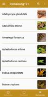 Anfíbios do Quadrilátero screenshot 2