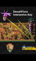DenaliFlora Interactive Key plakat