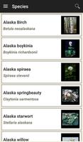 DenaliFlora screenshot 3