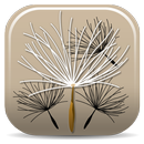 Federal Noxious Weeds Key APK