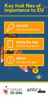 Key important fruit flies EU poster