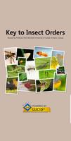 Key to Insect Orders – Revised 海报