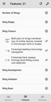 Key to Insect Orders – Revised 截图 2