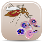 Malaria Vectors-icoon