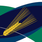 MyCrop Barley icône