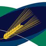 MyCrop Barley icône
