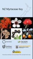 NZ Myrtaceae Key poster