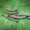 Pacific Pests Pathogens Weeds APK