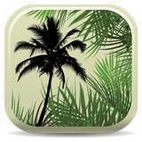 Palm ID 아이콘