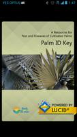 Palm ID Cartaz