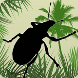 Palm Screening Aid Key icon