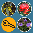 Plants of SE New South Wales APK