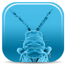 Pest Thrips of East Africa APK