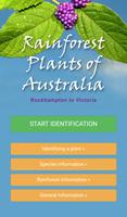 Rainforest Plants of Australia poster