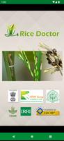 Rice Doctor Assam EN poster