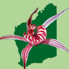 Western Australian Orchid Key icon